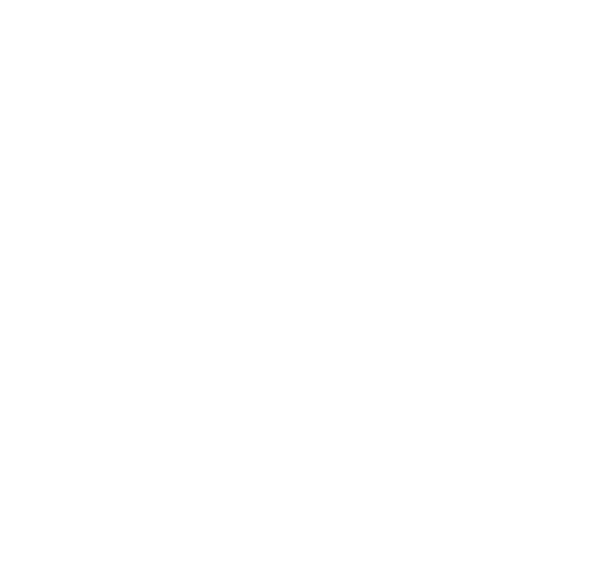 Northern Trading Group
