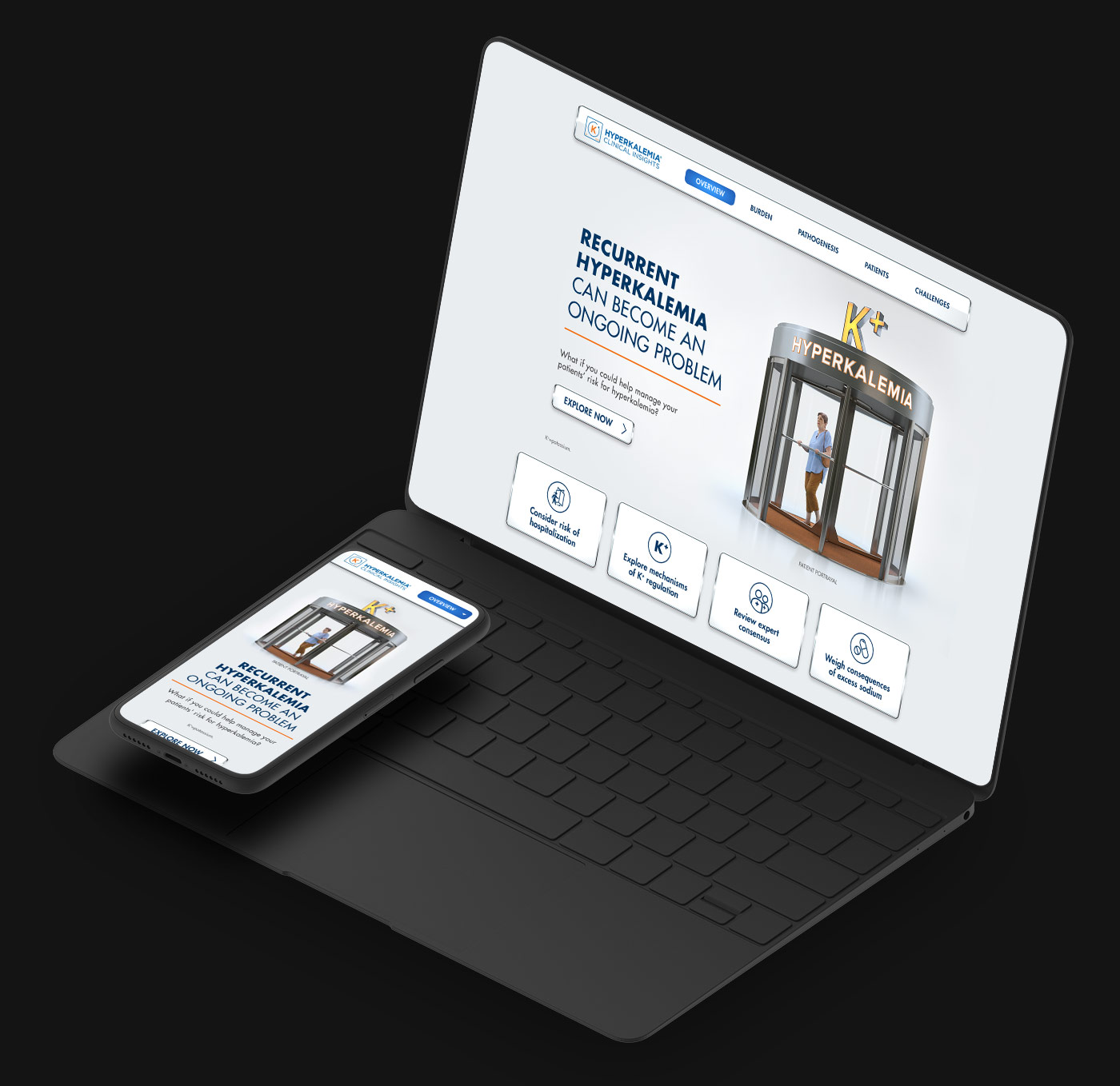 Hyperkalemia Insight Website